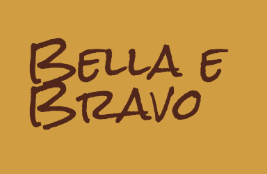 Bella e Bravo Hunting Spinone Italiano Puppies